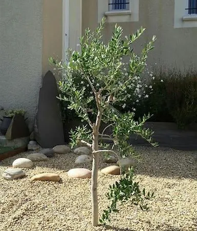 Proche Avignon, Pont Du Gard,nuitee Possible