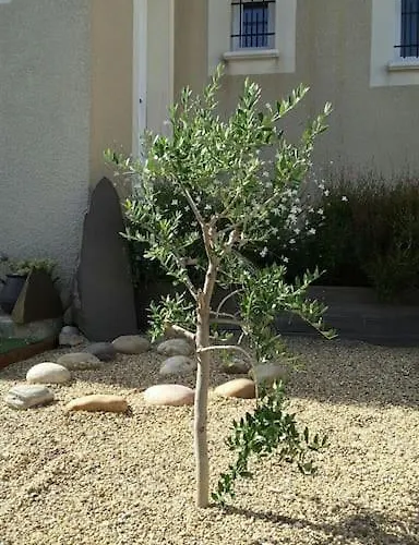 Proche Avignon, Pont Du Gard,nuitee Possible